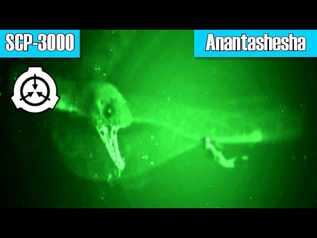 SCP Declassified: SCP 3000 Explained
