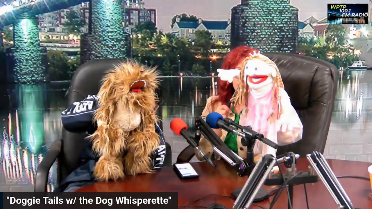 "Doggie Tails w/ the Dog Whisperette" Princess K Meets Scruffy