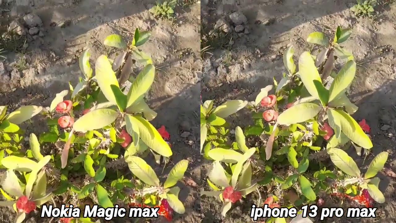 Nokia Magic Max vs Iphone 13 pro Max Camera test