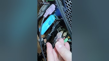 Wi-Fi Adapter Not Detected on Linux Mint? Here