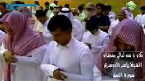 مقطع من سورة النمل.mp4
