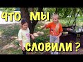 ЧТО СЛОВИЛИ?. Мила. Покраска генераторной и др.