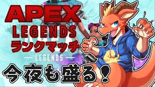 【Apex】今夜も盛る！！　撃ち合い強いドラゴン目指して修行！【ケモノVtuber】