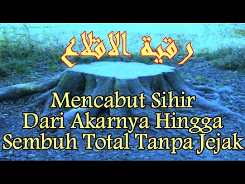 Video: Apakah ayat untuk akar?