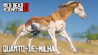 Criação de CAVALOS QUARTO-DE-MILHA e ataque de ONÇA PINTADA - Red Dead Redemption 2ok