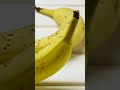 متى يجب التخلص من الموز وعدم تناوله متى يجب التخلص من الموز وعدم تناوله