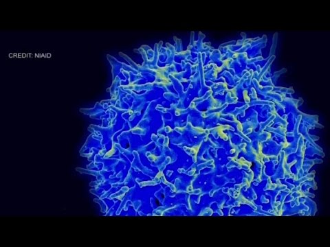 The Big Idea: Treating Cancer with Immunotherapy