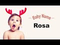 Rosa  girl baby name meaning origin and popularity 2023