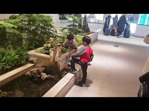 인천공항 제1여객터미널