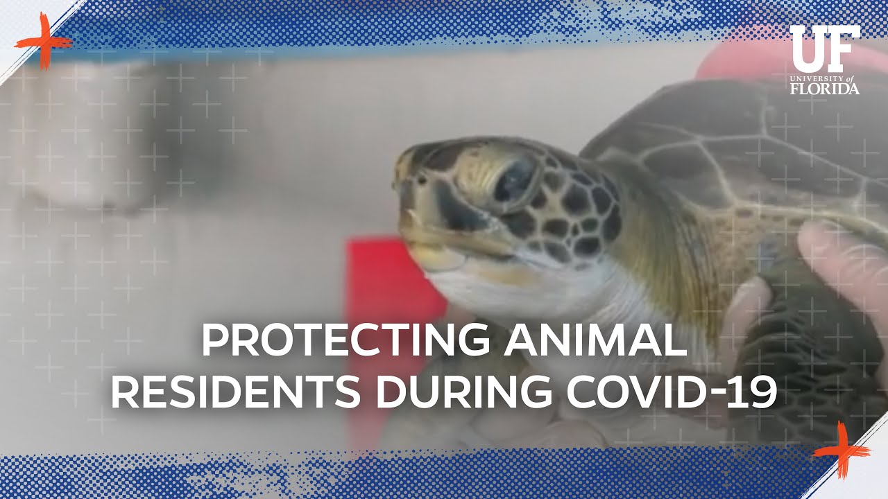 UF's Marine Bioscience Laboratories: Closed but Still Caring