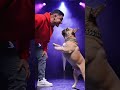 rap battle with dog