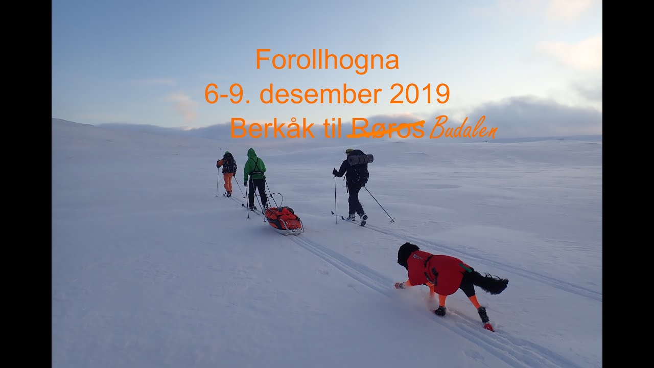 Førjulstur til Forollhogna nasjonalpark