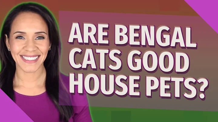 Are Bengal cats good house pets?