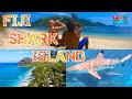 Fiji sharks  pacific paradise   kuata island resort    yasawas