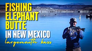 Bank Fishing at Elephant Butte Lake, New Mexico