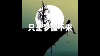 201604 只是梦醒不来21756