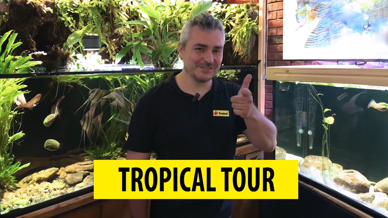 TROPICAL TOUR | Visiting aquarists/Z wizytą u akwarystów - Dariusz Krych (ENG SUB) cz.2