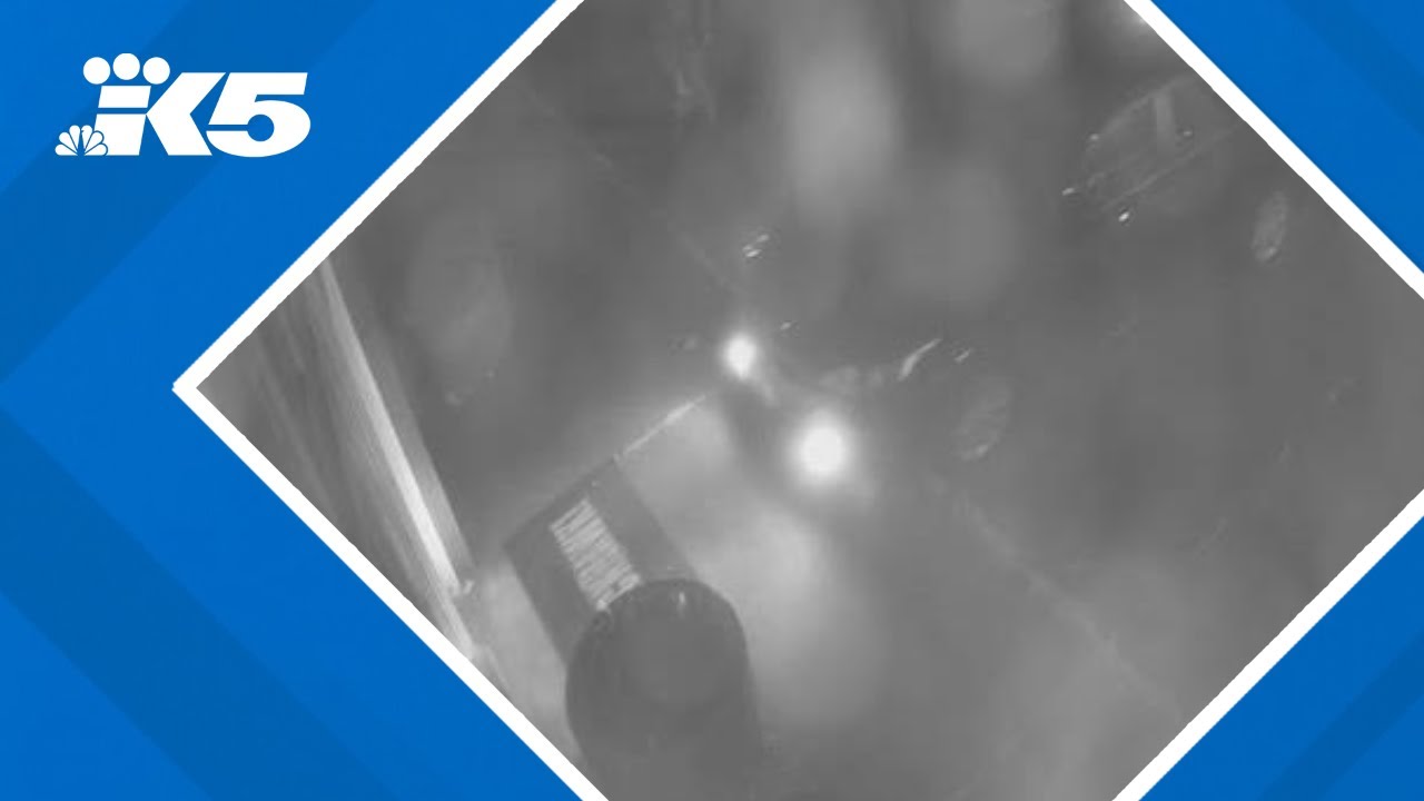 Police: Teens steal vehicle in Elma before attempted burglary of gun store