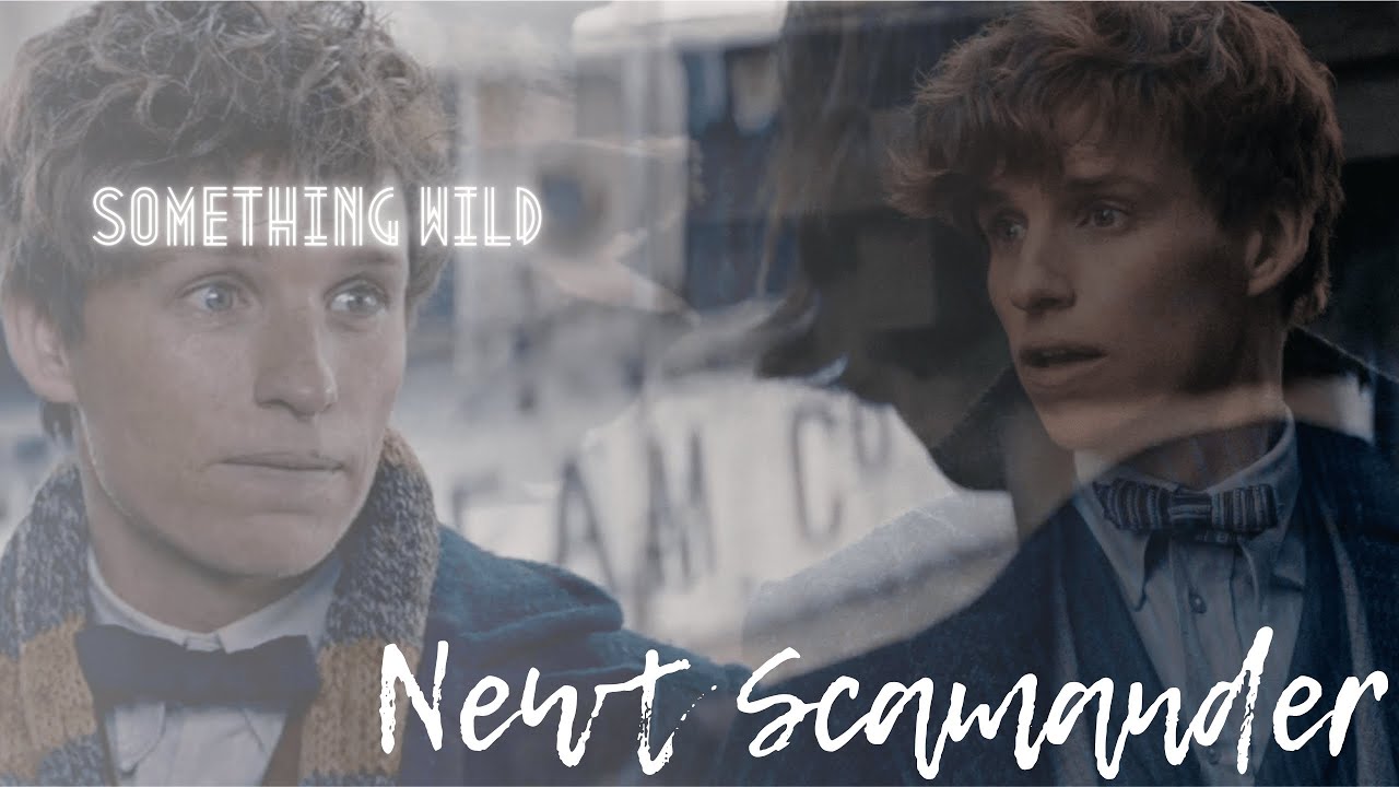 Newt Scamander || Something Wild