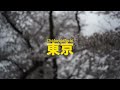 Wabi-Sabi Sakura Tokyo 2023 | Part 1