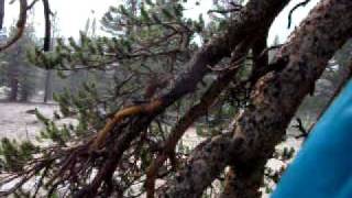 DSCF6237.AVI