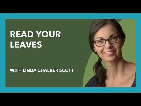 What Your Tree's Leaves Are Trying to Tell You (Plus Choosing Cherry Rootstock) (Eps 14)