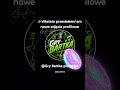 nowe kanały na Youtube i tik tok