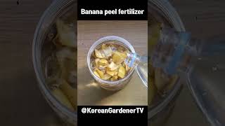 바나나 액비 만들기🍌ㅣBanana peel fertilizer #grow