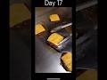 Day 17 #shorts #viralshorts