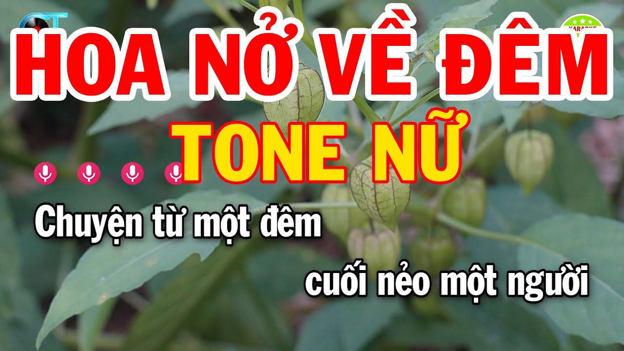 Hoa N V M Karaoke Tone Nam Nhc Sng Phi Mi D Ht Nht Nguyn - Video