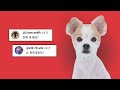 3만 기념 QnA | DBpia 강아지 3년이면 논문 제 1저자 될 수 있나요?