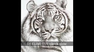 DJ ELIMI TUT VIRAL TIKTOK (SLOW SUPER BASS)