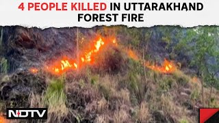 Uttarakhand News | Ground Report: 4 People Killed In Uttarakhand Forest Fire