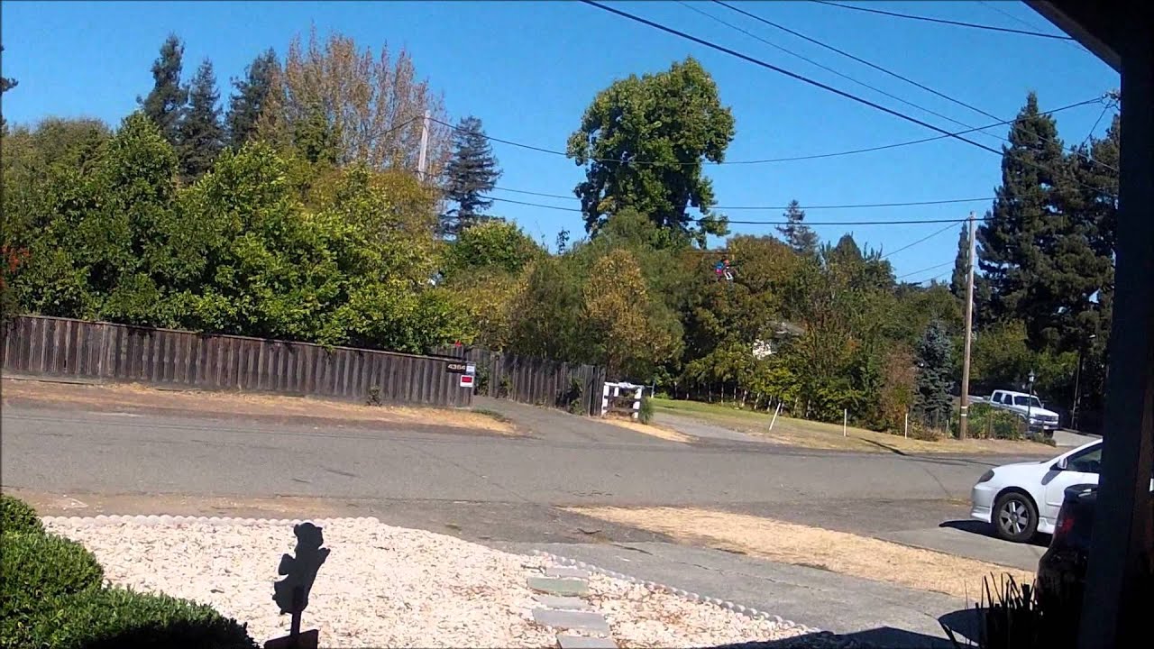 BLADE 300X QUICK FLIGHT!!!