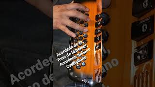 mi tesoro (intro) ramon ayala acordeon castiglione 5 registros #shorts