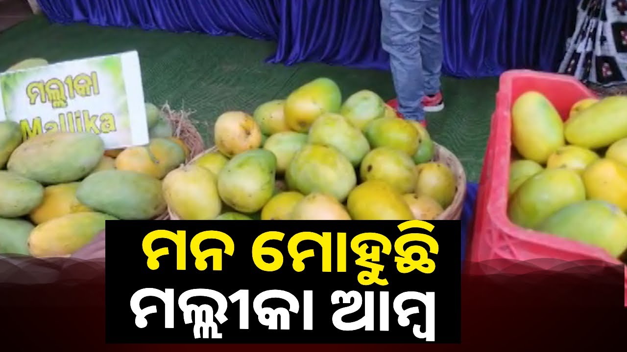 ଏ ଆମ୍ବର ସ୍ୱାଦ ସବୁଠୁ ନିଆରା, କିଣିବା ପାଇଁ ଜମୁଛି ଲୋକଙ୍କ ଭିଡ଼