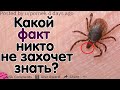 КАКОЙ ФАКТ НИКТО НЕ ЗАХОЧЕТ ЗНАТЬ?