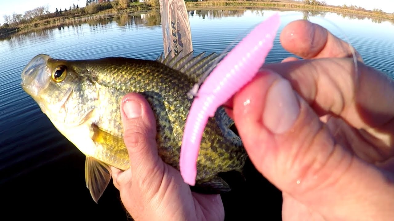 Mini Wacky Riggin' Crappies 