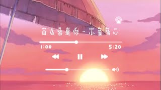 《目及皆是你》- 小蓝背心 (mu ji jie shi ni by xiao lan bei xin) chi/pin lyrics