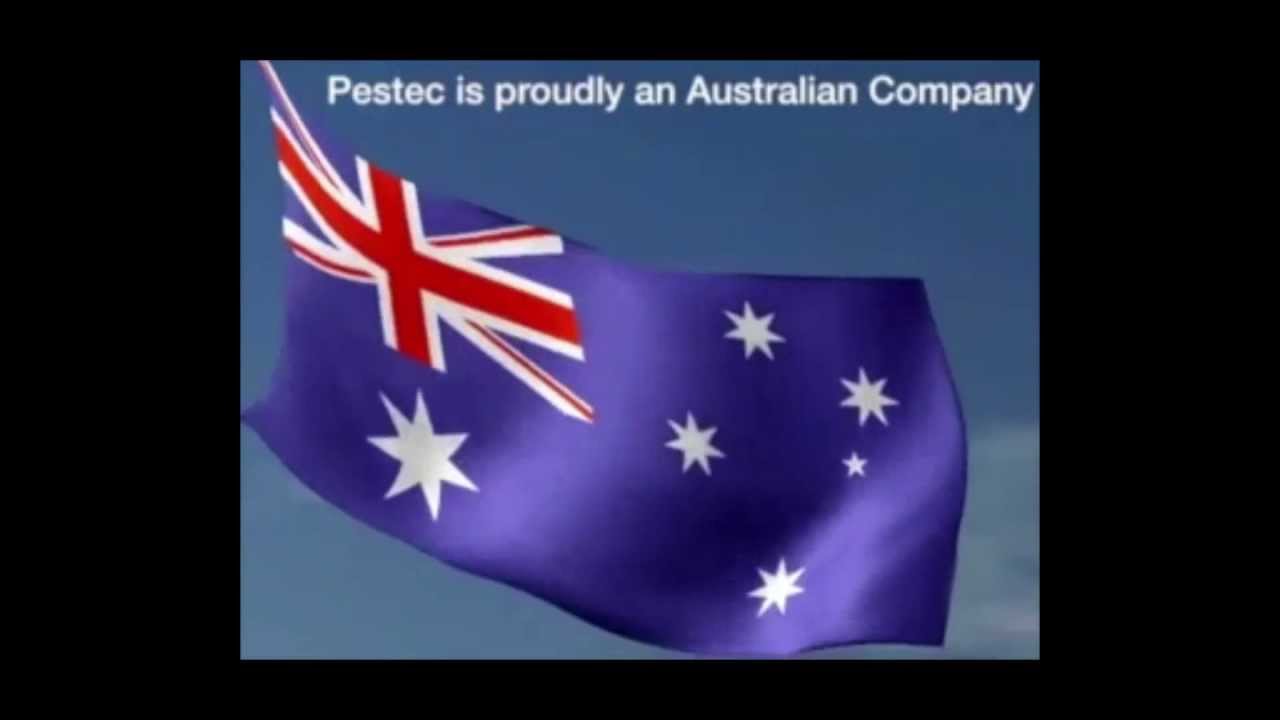 How much does a termite inspection cost?