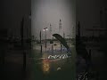 من اجمل التوشيحات اليمنيه بصوت الفنان عبد الرحمن السماوي