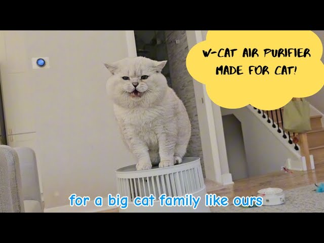 Breath Better! New Air Purifier for Cats at Home! class=