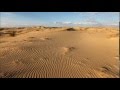 Олешковская пустыня в херсонской области