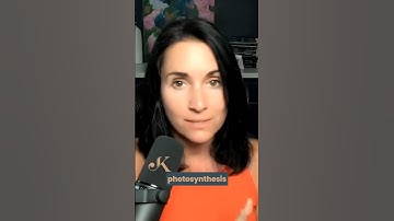 Small Group Reteaching Strategy | Kathleen Jasper