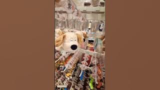 Ganci dog lucu #gantungan_kunci #keychain #dog #dolls #doll #boneka #bonekabintang #youtubefeed #fyp