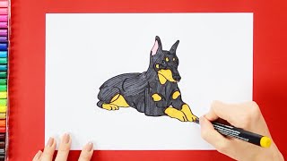 How to draw a Doberman dog