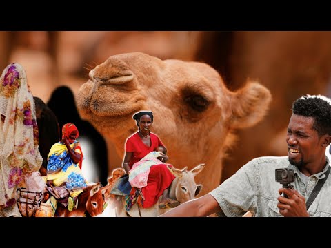 عراضة البحير ملتقى الرحل وسوق الإبل