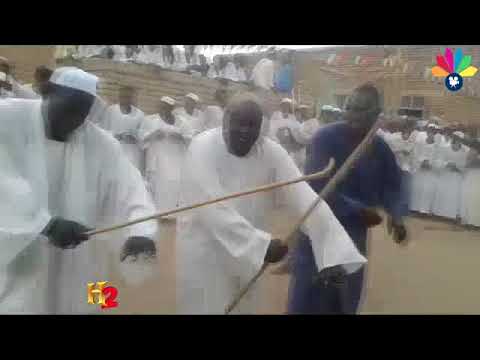 أولاد الشيخ البرعي  في المدينة قدومي