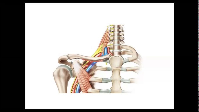 Prezervativ qoyish va sikish videosi Bekor qilingan anuslarning fotosuratlari