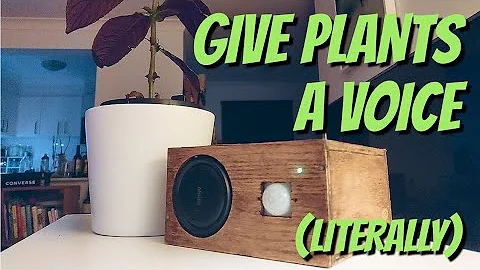 Give Plants a Voice - Creative Engineering with Ma...